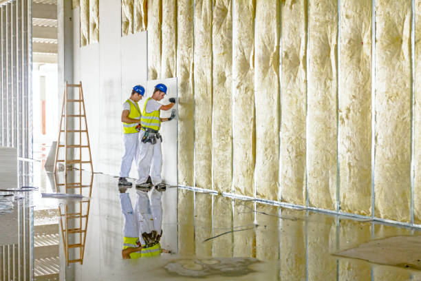 Best Cellulose Insulation in Ontario, OH